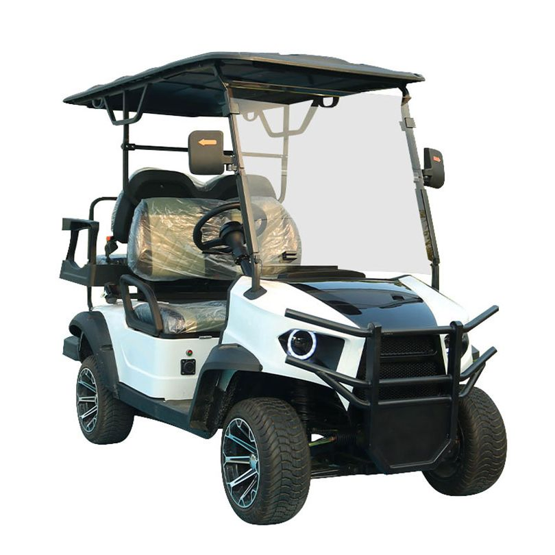 Kinghike Custom Aluminium Frame 2 4 6 8 Seats Electric Golf Carts Car with Curtis Controller