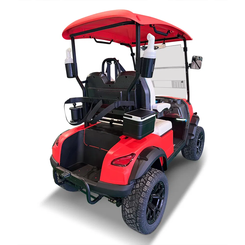 Electric Sightseeing Golf Wholesale 2 Seater Golf Cart with Folded Seat