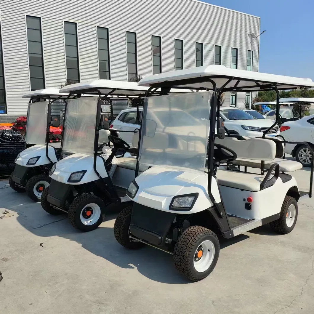 Electric Golf Cart View 6