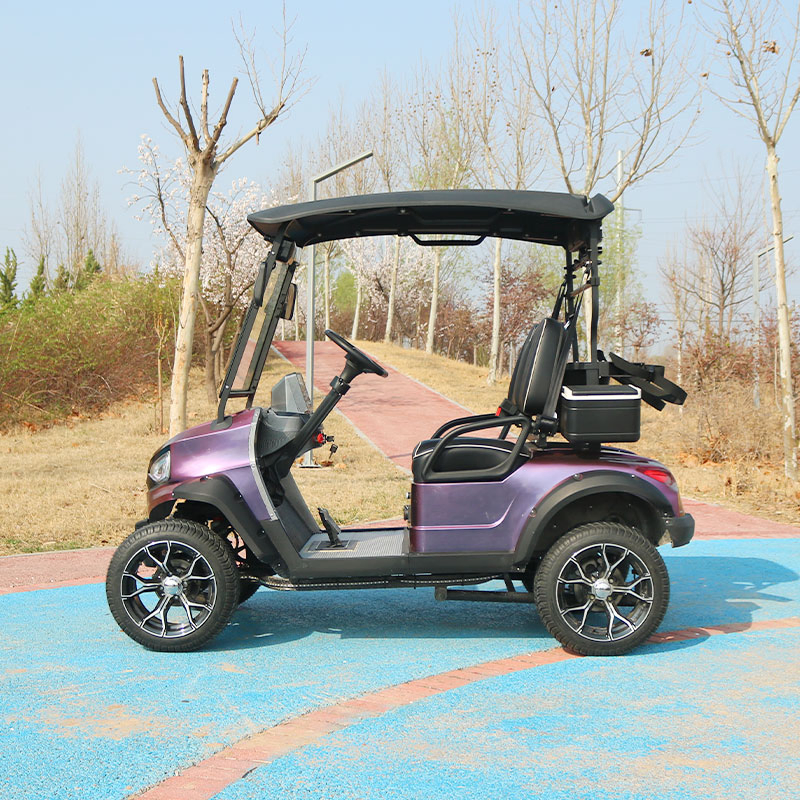Luxury New Custom Golf Carts for Sale Powered Golf Buggy Scooter