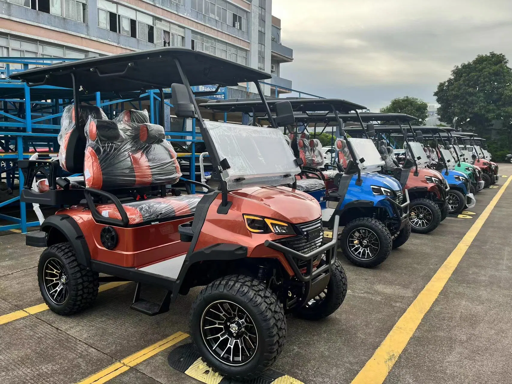 Custom Golf Golf Cart 25mph Golf Car Electric Golf Cart