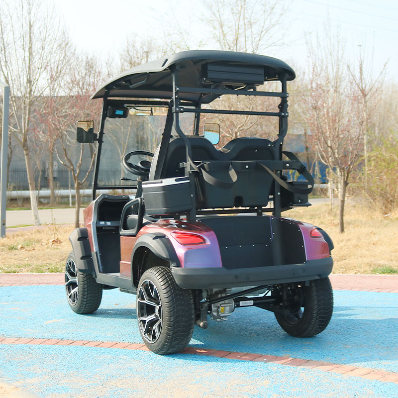 Luxury New Custom Golf Carts for Sale Powered Golf Buggy Scooter