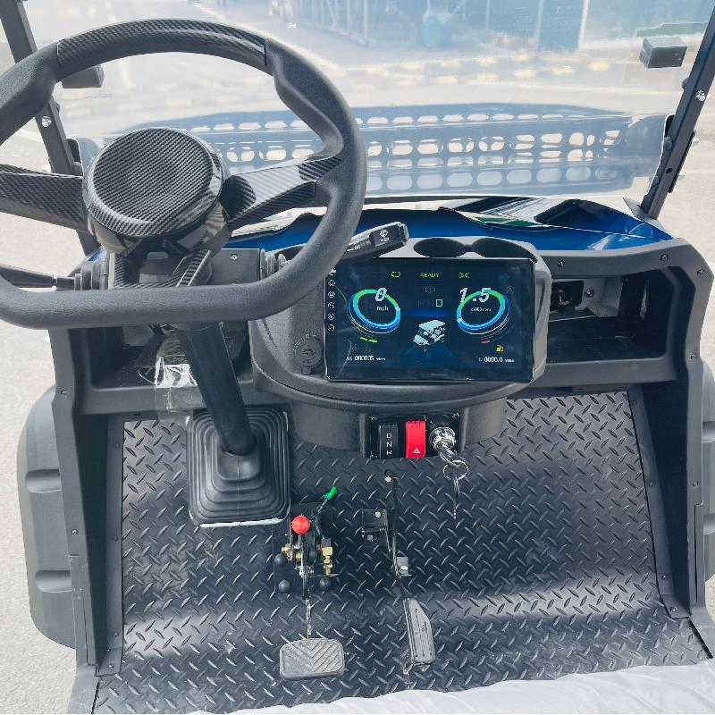 Luxury 400cc Engine Customization Gas Powered Golf Carts for 6 Passengers Manufacturer