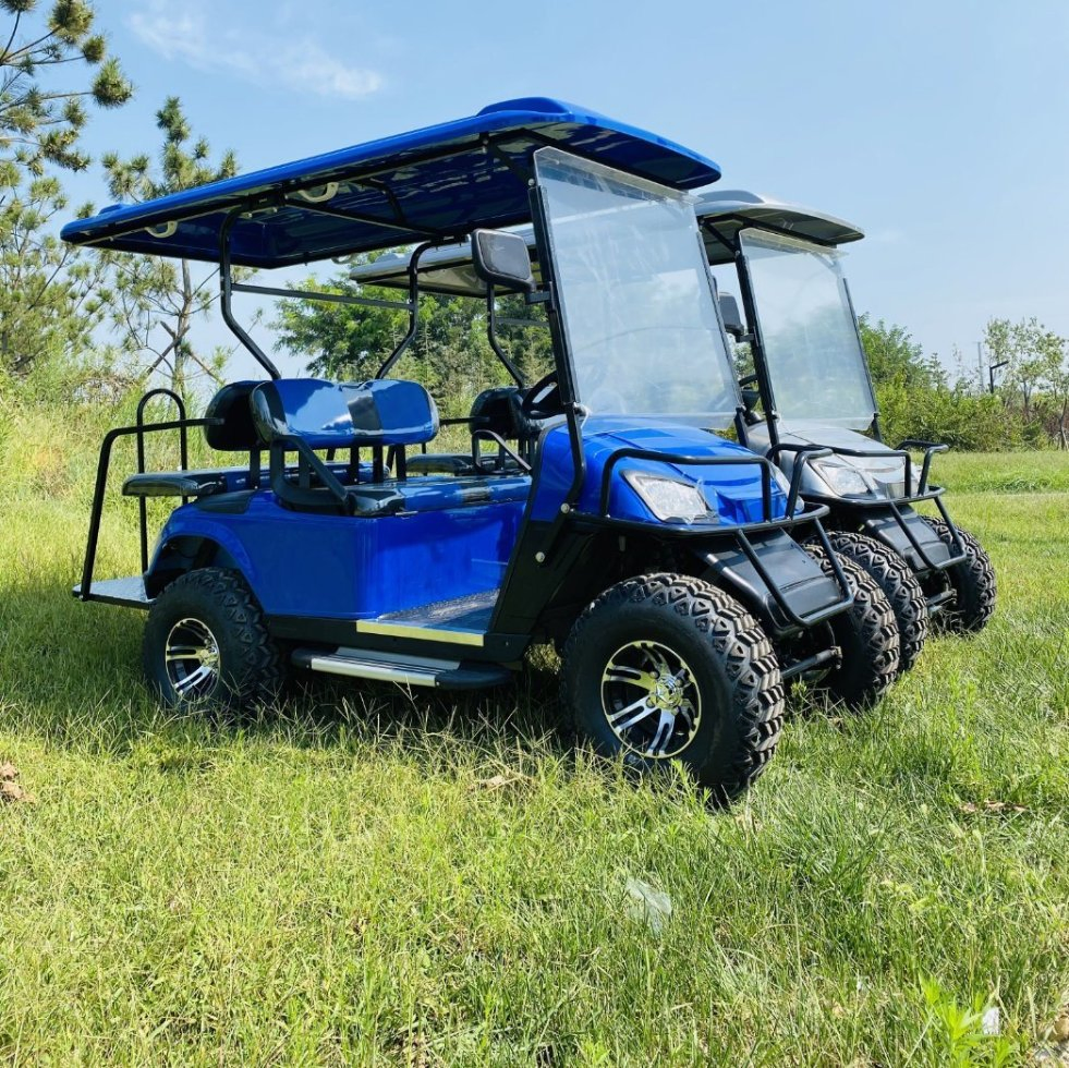 Custom Club DC Motor Four Wheel Drive Electric Golf Cart 2 Seater with Folded Back Seat