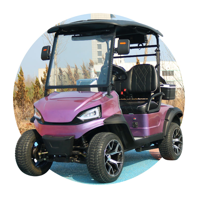 Luxury New Custom Golf Carts for Sale Powered Golf Buggy Scooter