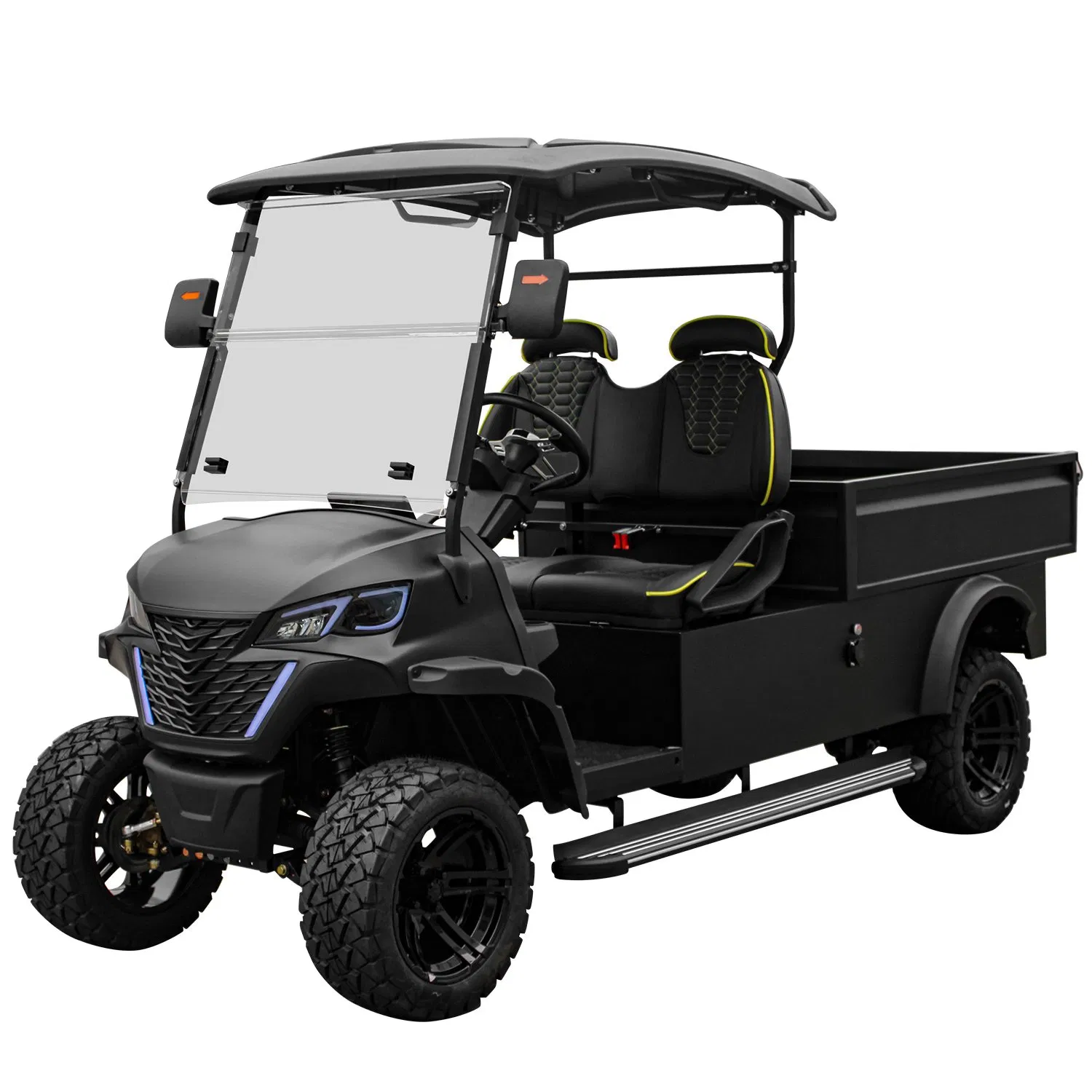 2-Seater Electric Utility Golf Cart: DOT-Certified Street Legal Lsv
