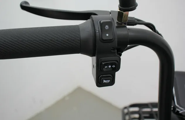 Electric Bike View 2