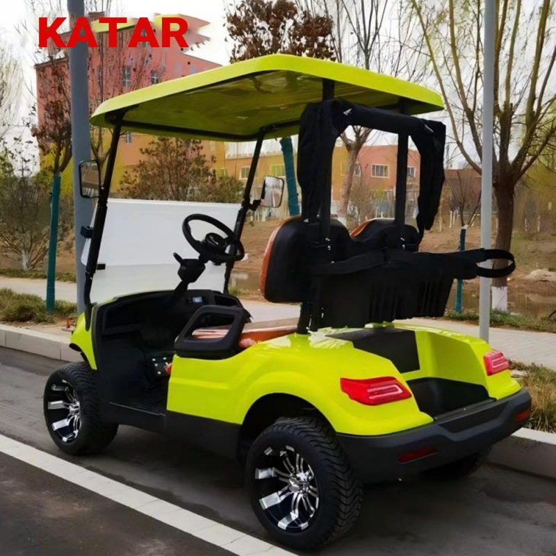 4 Wheel Lead-Acid Golf Cart Luxury Cheap 2 Seater Custom Color Electric Cart