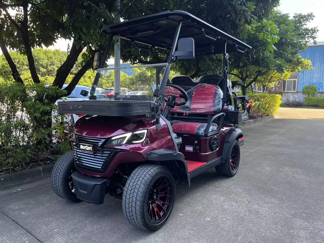 Golf Cart Interior Detail