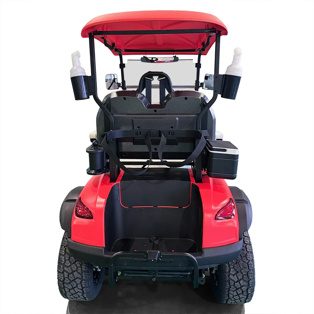 Electric Sightseeing Golf Wholesale 2 Seater Golf Cart with Folded Seat