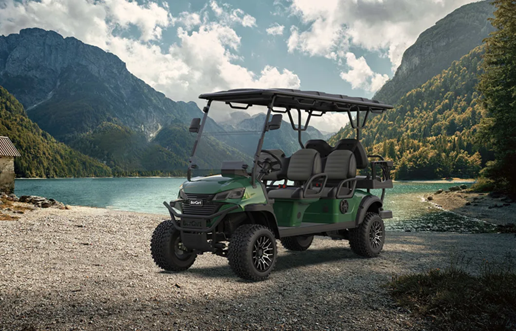 Electric Golf Cart Main View