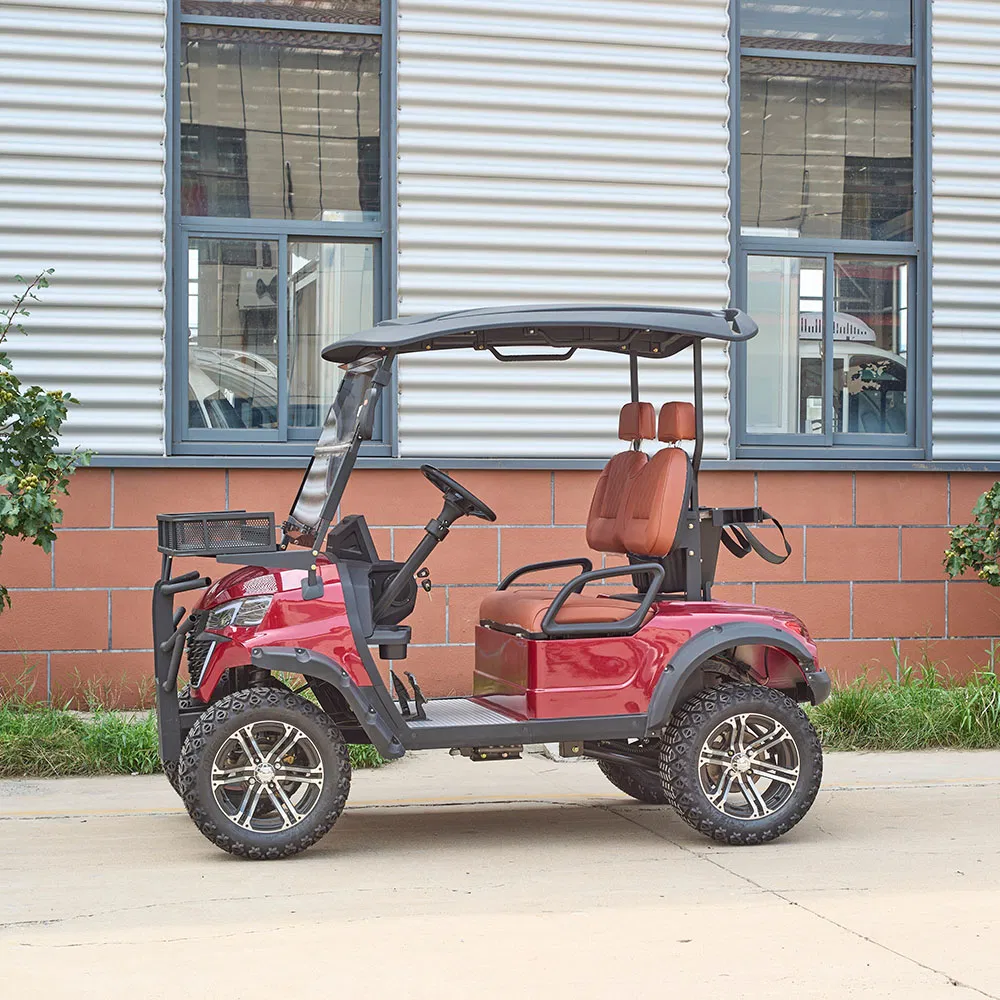 Custom Confortable 2 Seats 48V Electric Luxury Golf Cart