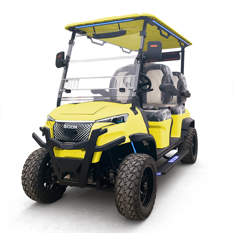 Customized Electric Golf Cart with AC Motor and Lithium Battery