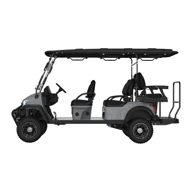 Electric Golf Buggy Seating