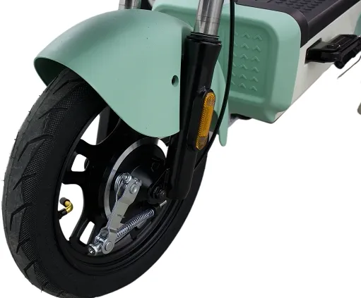 Electric Bike View 1