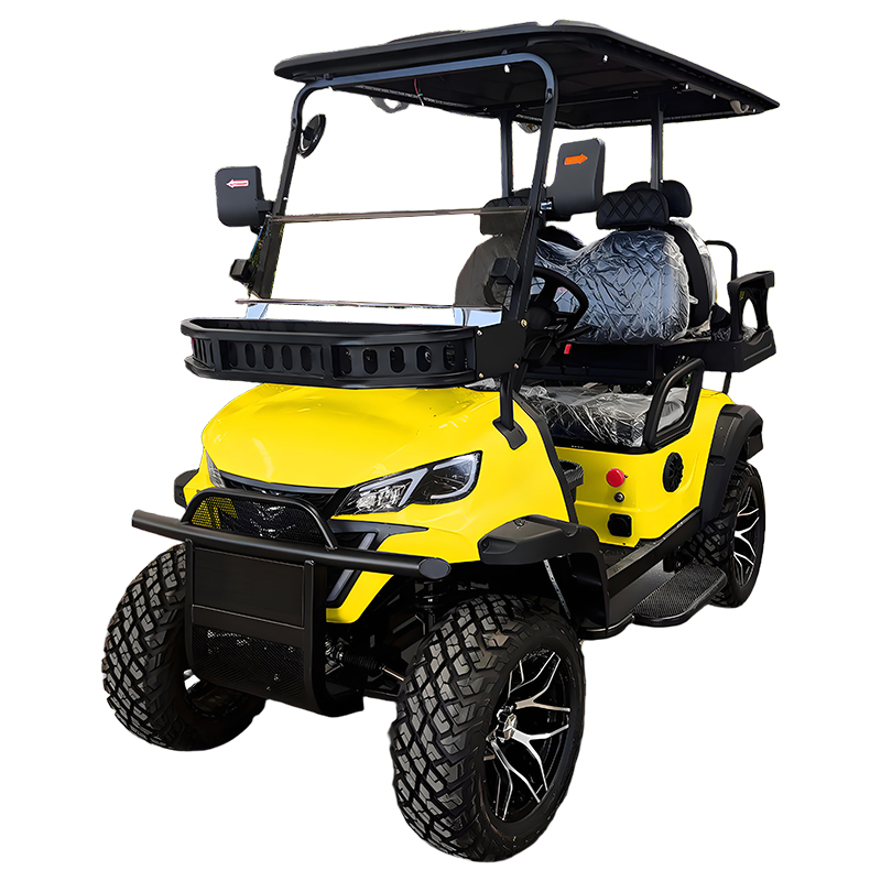 Luxury Wholesale Custom Lithium 6 Seater Golf Cart