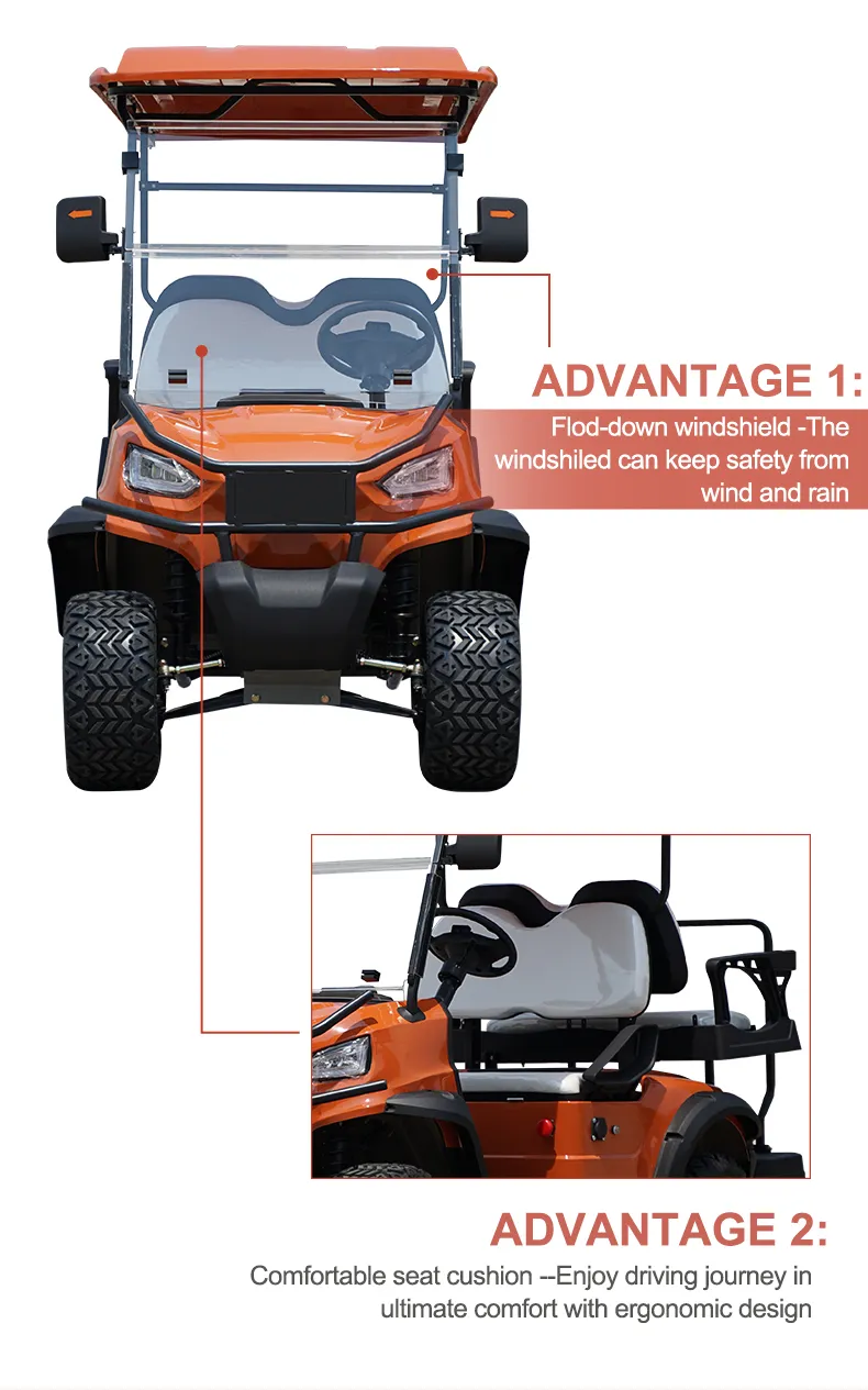 Electric Golf Car Detail