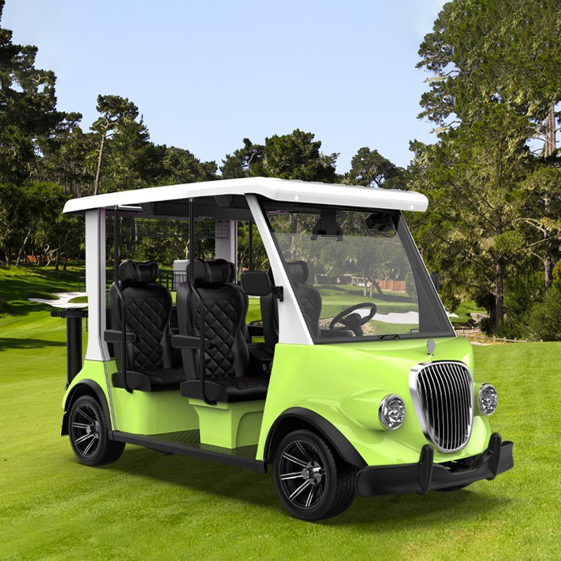 ODM 2025 Lsv Agv Street Legal Electric Golf Cart DOT Certified