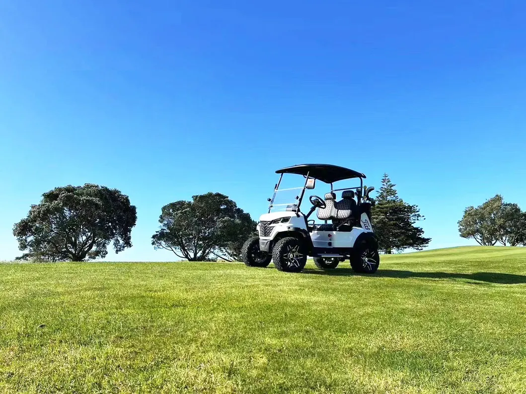 Gas Golf Cart
