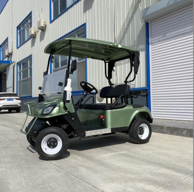 Mini Lithium Battery 2 Seater Wheel Gasoline Gas Powered Electric Golf Carts