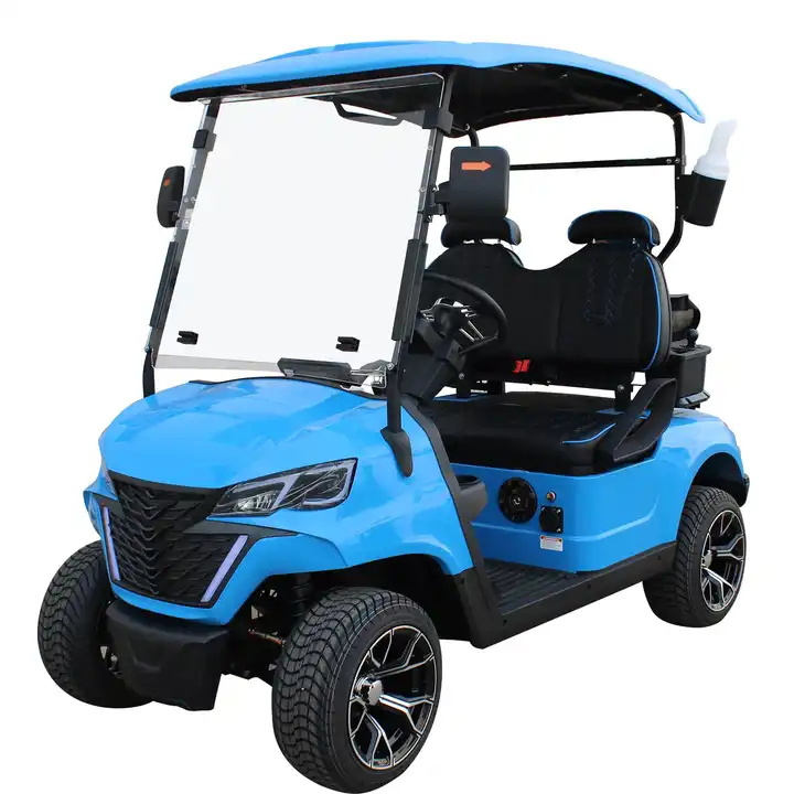 Custom 4 Wheel 2 Seat Electric Golf Kart Luxury Golf Buggy Car Electric Mini Golf Cart with Lithium Batteries