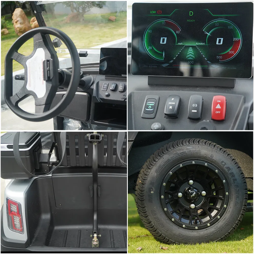 Lvtong 48V 2 Seater Electric Golf Cart Lithium Battery Golf Buggy Utility Vehicle for Golf Course Farm Patrol