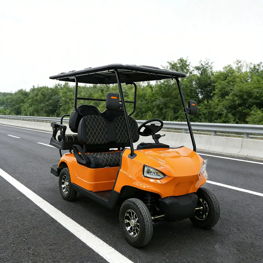 Golf Buggy Detail 10