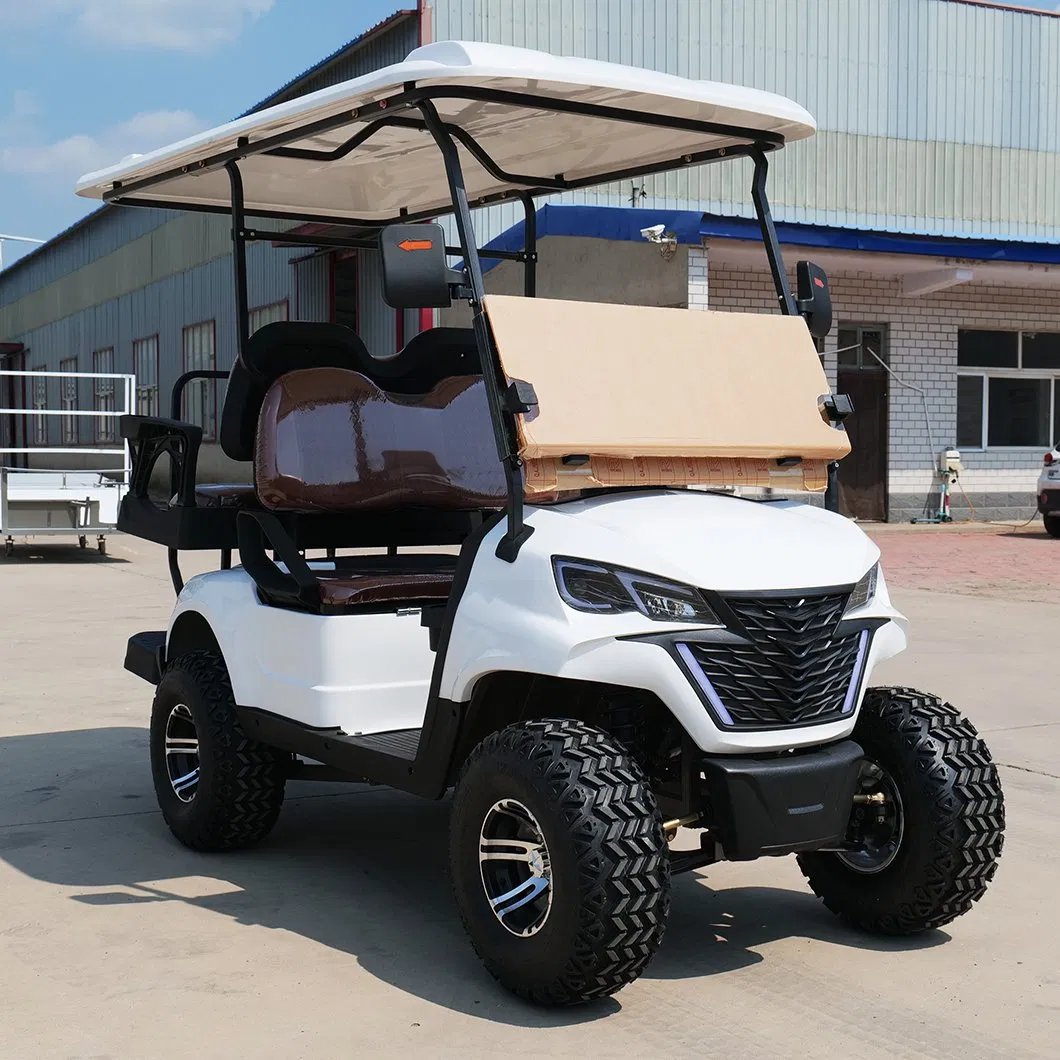 Luxury Customizable Mini Custom Cheap OEM Club Sightseeing ODM Electric Golf Cart
