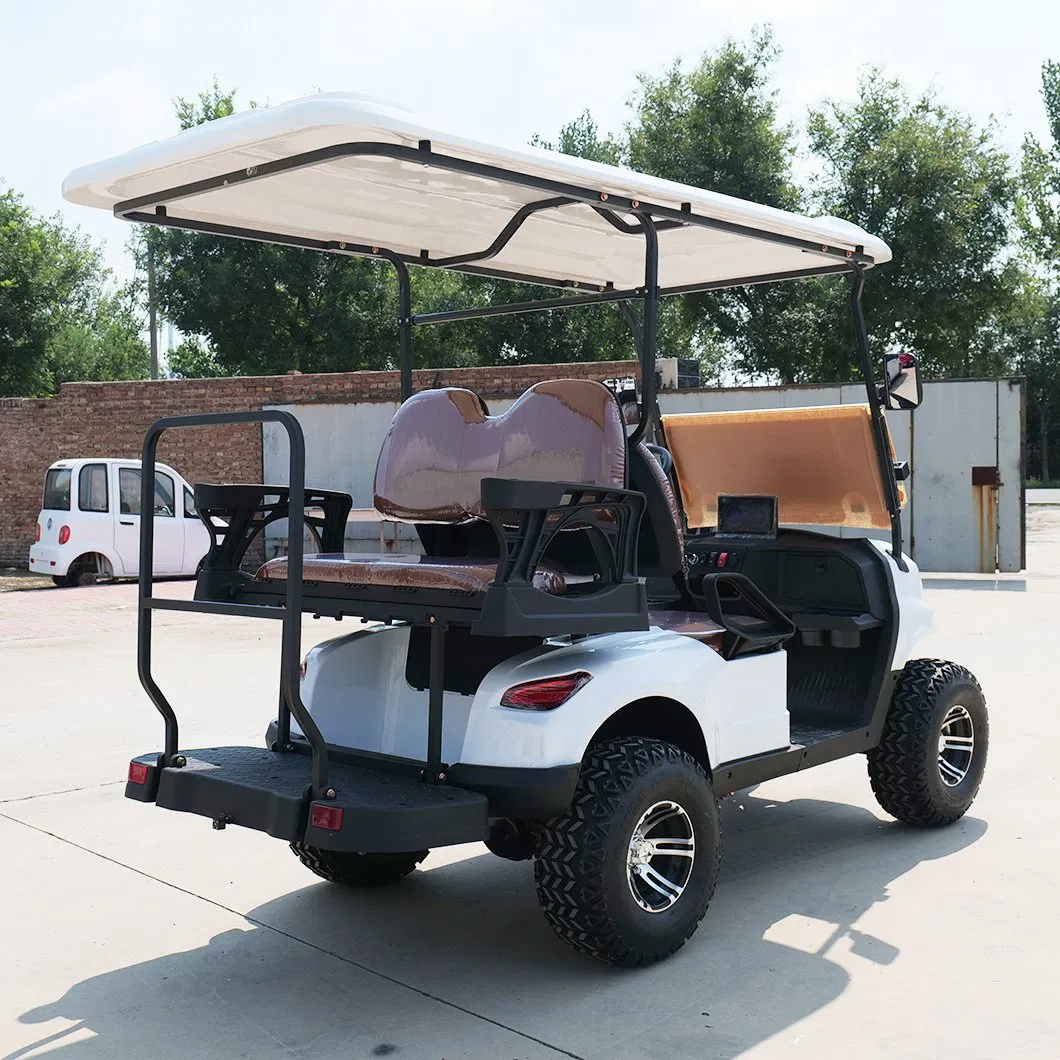 Luxury Customizable Mini Custom Cheap OEM Club Sightseeing ODM Electric Golf Cart