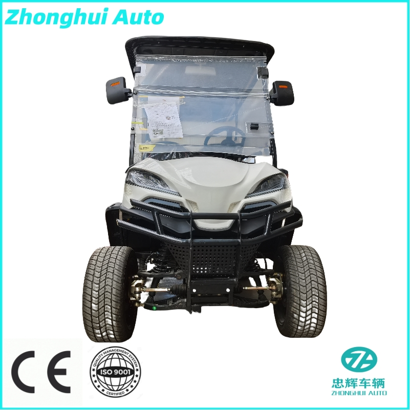Custom 4+Cargo off Road Lifted Luxury Gas/Petrol/Gasoline Hunting Buggy Compact Golf Cart