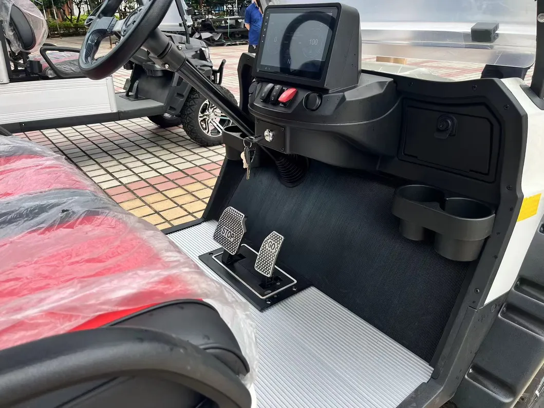 Luxury Golf Car Detail