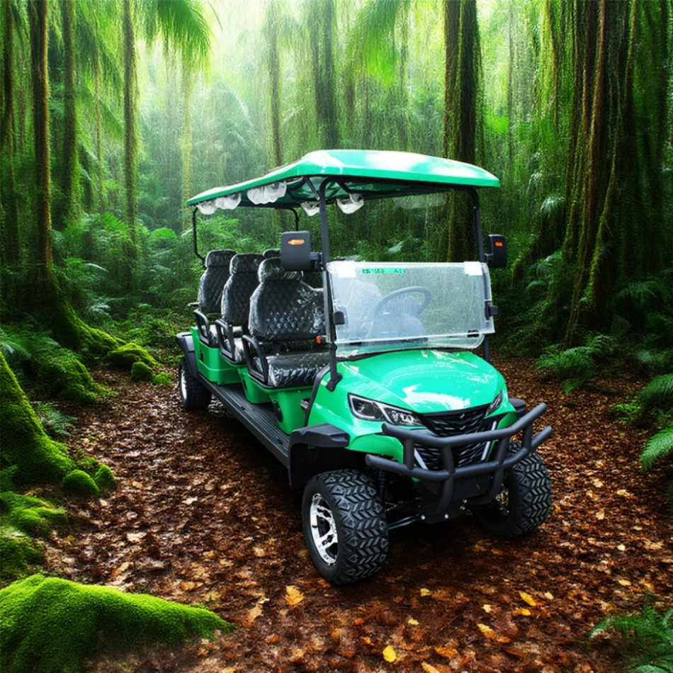 off Road 6 Seater Gas Powered Golf Cart Chinese Max Spring Leaf Tank Engine Hydraulic Brake Pedal Parking Shaft Rim