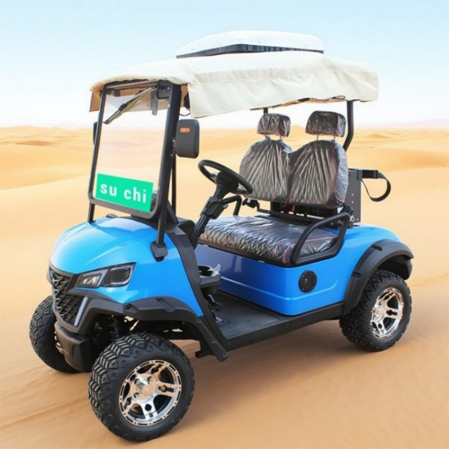Electric Smart Golf Cart UTV Cheap Mini Chinese 2 Seater Wheel Gasoline Gas Powered Electric Golf Carts with Folded Seat