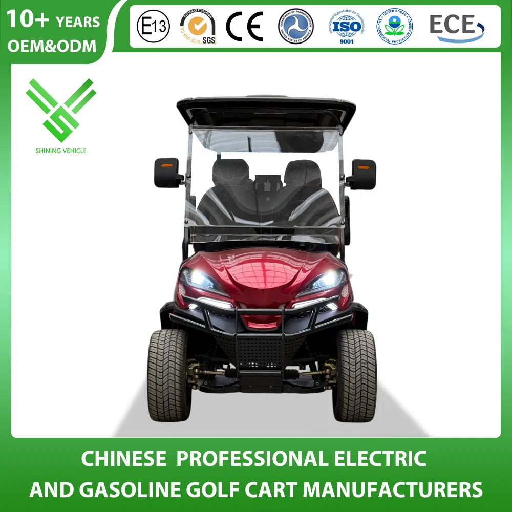 2+2 Seater 4 Passenger Club Car Golf Cart off Road Street Legal 200cc/300cc/400cc Lifted Gas Powered Gasoline Petrol Lifted Tour Lsv Golf Cart Factory