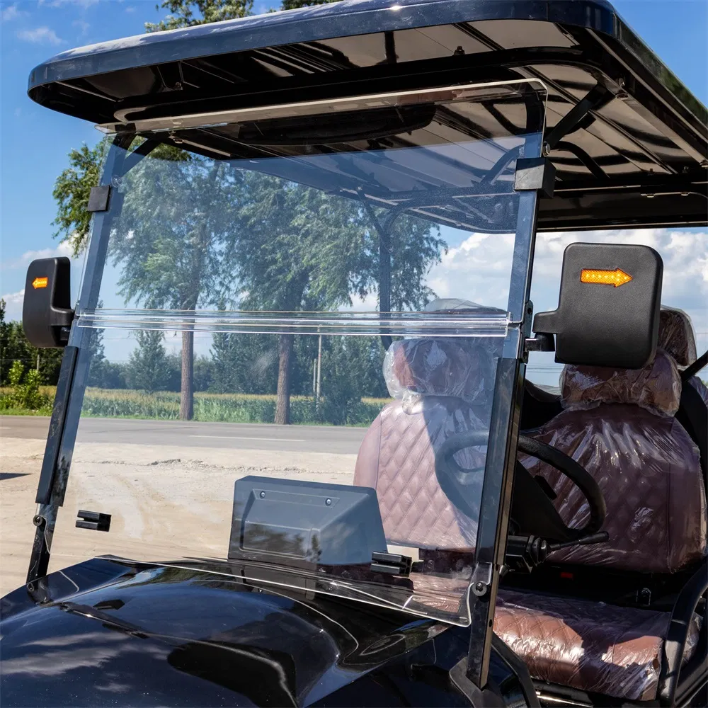 Golf Cart Interior 1