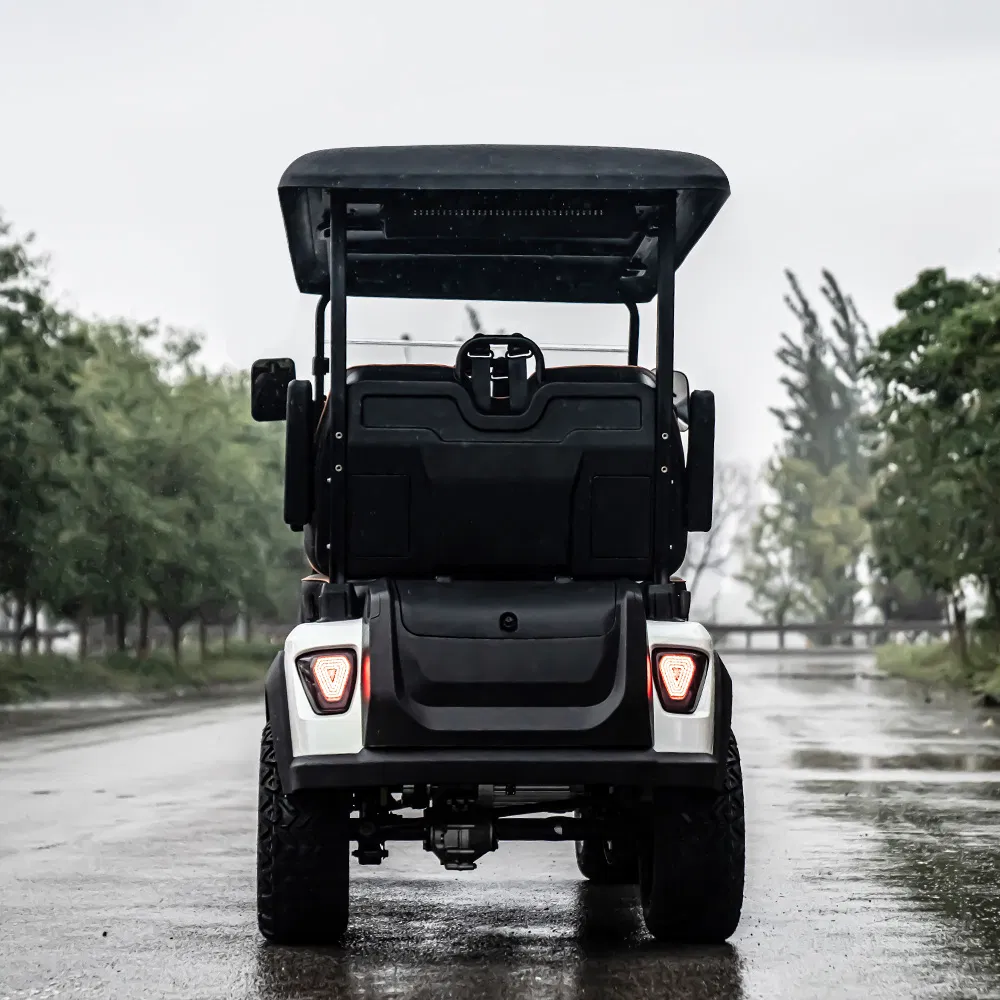 Very Powerful Slope Lifted 6 Person/4 Person Seater Luxury 4WD off Road Street Legal 48/60V Lithium Battery 7.5kw Motor Electric/Gas Buggy Hunting Golf Cart