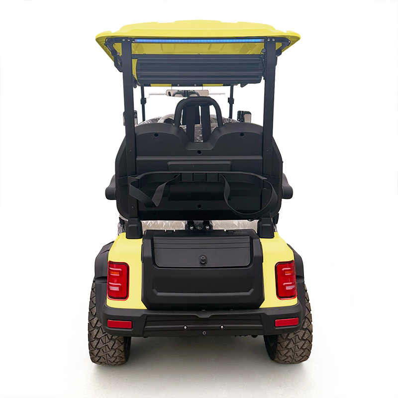 Customized Electric Golf Cart with AC Motor and Lithium Battery