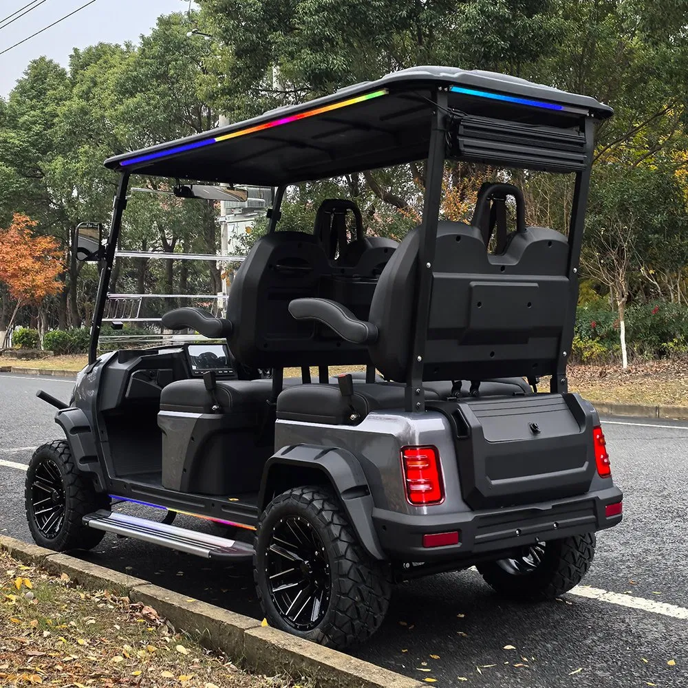 Chinese Wholesale Factory Custom Luxury Lifted Utility 2 Seater Seat 48V New Mini Club Golf Car Electric Golf Cart for Sale