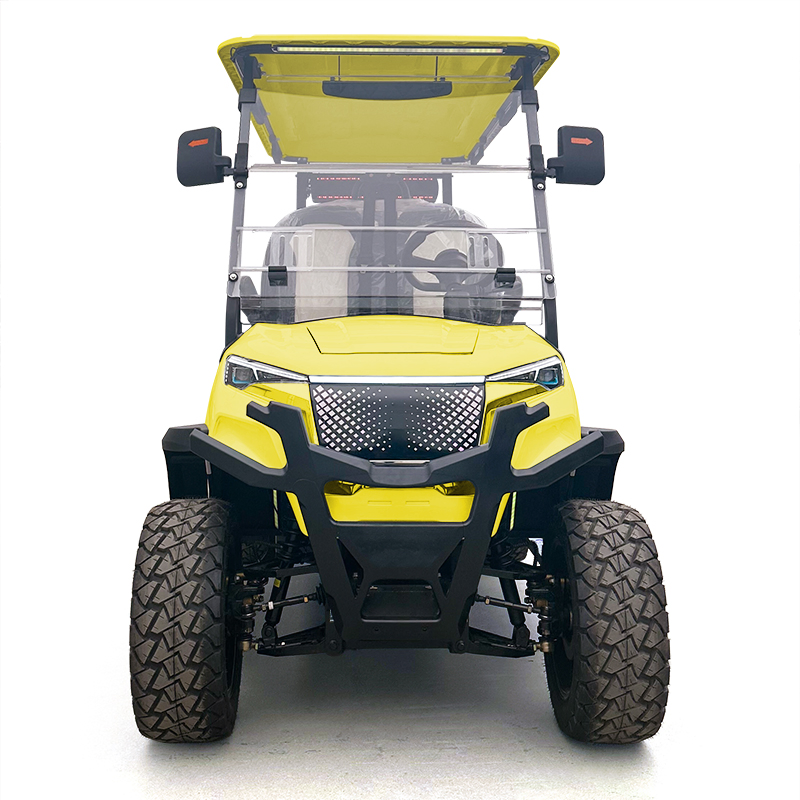 Customized Electric Golf Cart with AC Motor and Lithium Battery