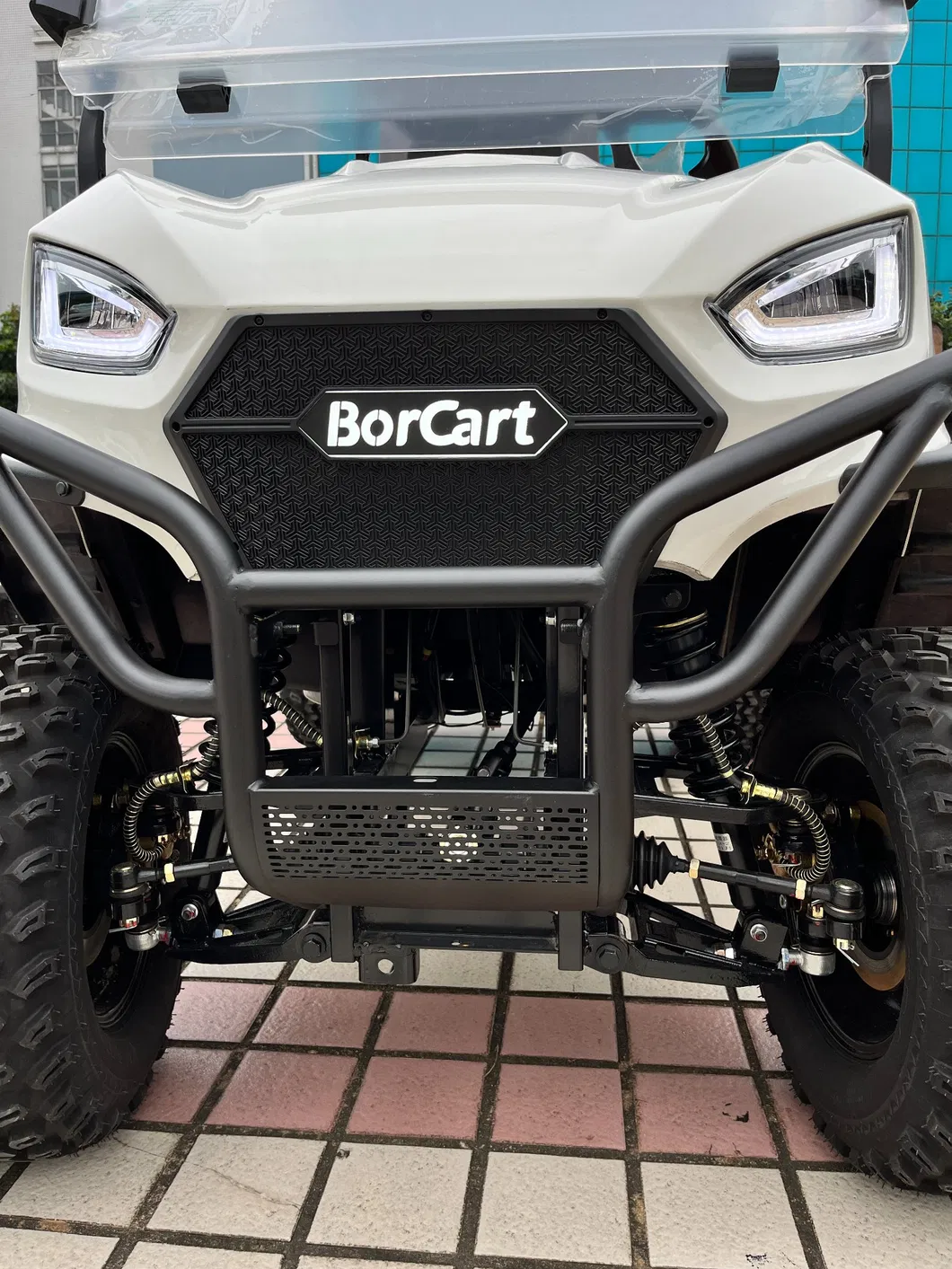 Electric Golf Cart View