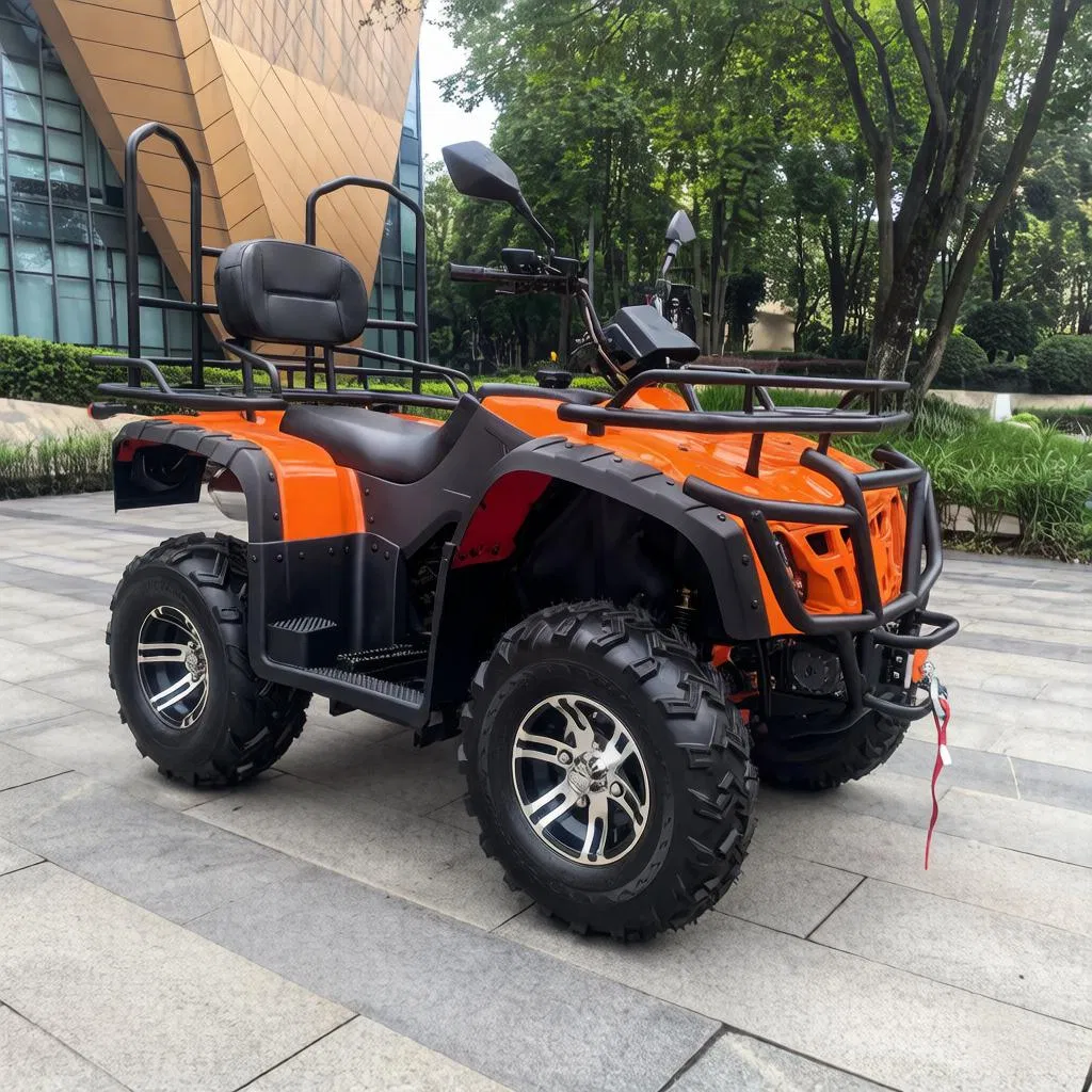 CVT Automatic Transmission Easy Operation 200cc 250cc 4 Seater Four-Wheeled Adults off Road Sport Gasoline Utility ATV CE ECE EPA Certified Automatic 125cc 4-St