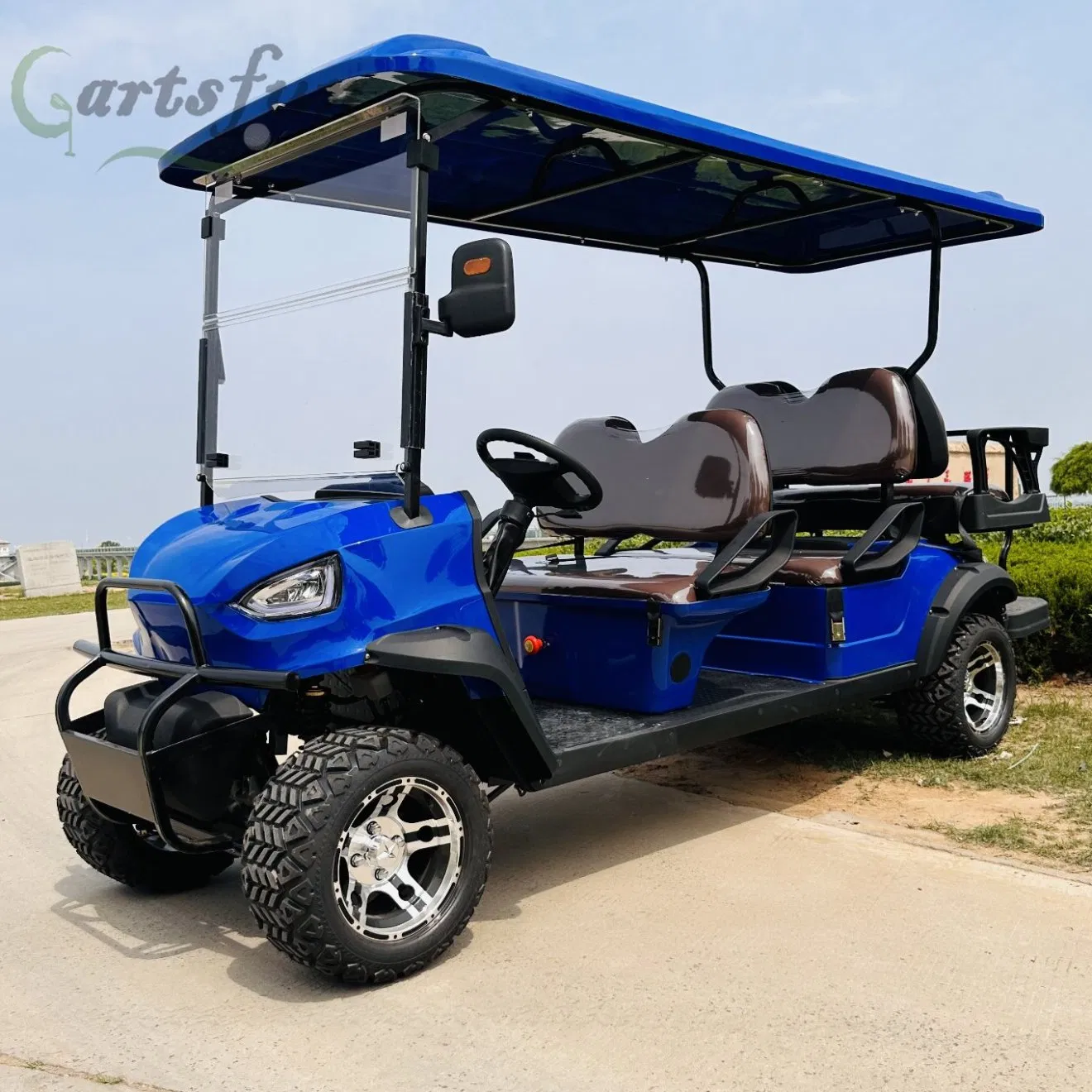 Custom Club DC Motor Four Wheel Drive Electric Golf Cart 2 Seater with Folded Back Seat