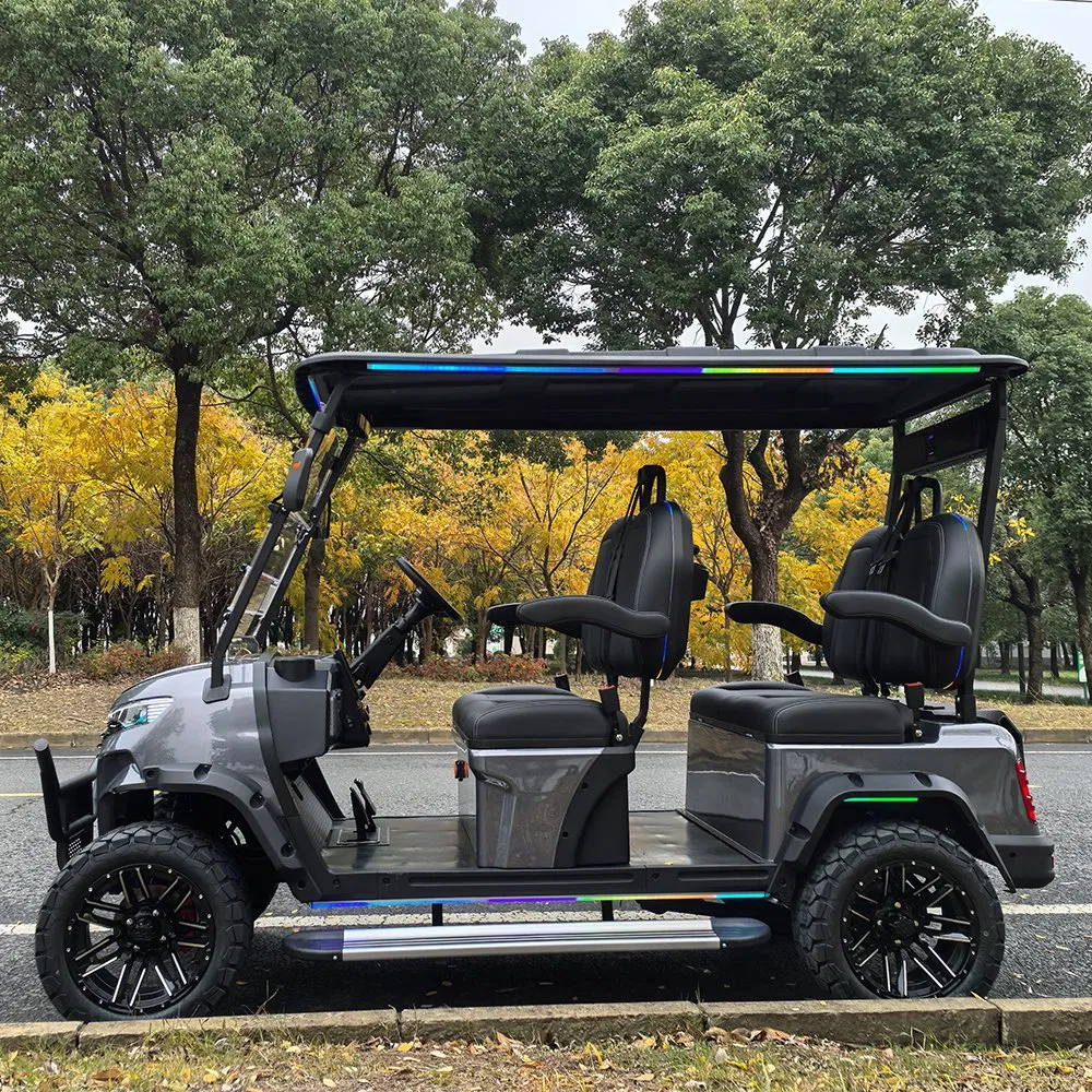 Chinese Wholesale Factory Custom Luxury Lifted Utility 2 Seater Seat 48V New Mini Club Golf Car Electric Golf Cart for Sale