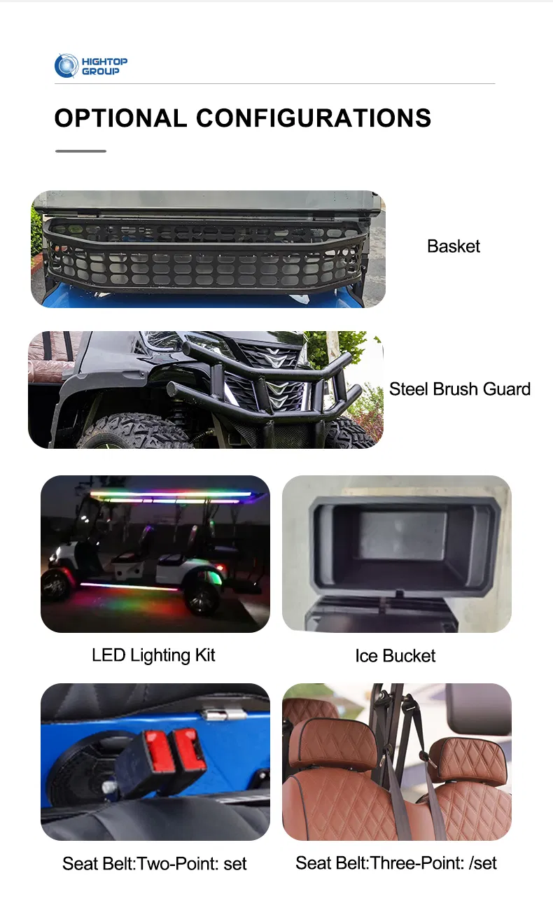 Electric Golf Car Detail