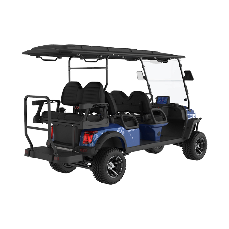 Street Legal Electric Lsv Golf Cart 2025 Year Model 4+2 Seats Color Choices