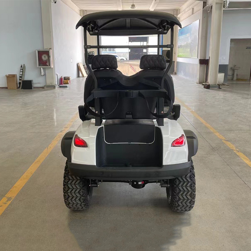 2024 Street Legal Hot Selling Golf Carts Gas Powered Gasoline Golf Cart Wheels and Tires Customizable Buggy Carts