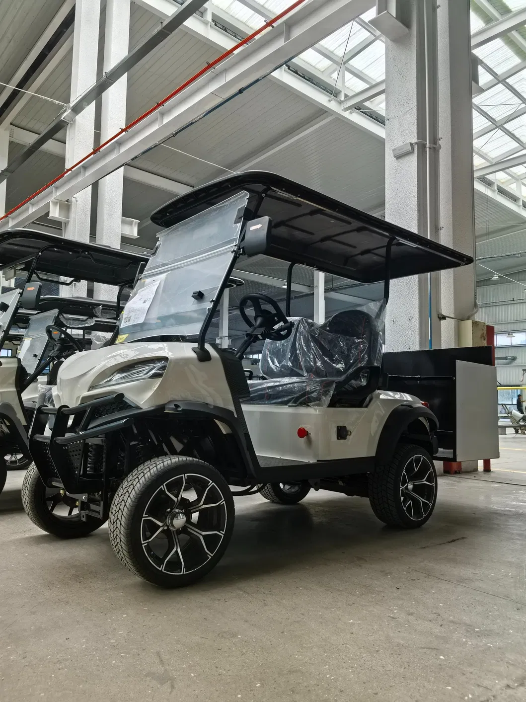 Golf Cart Rear