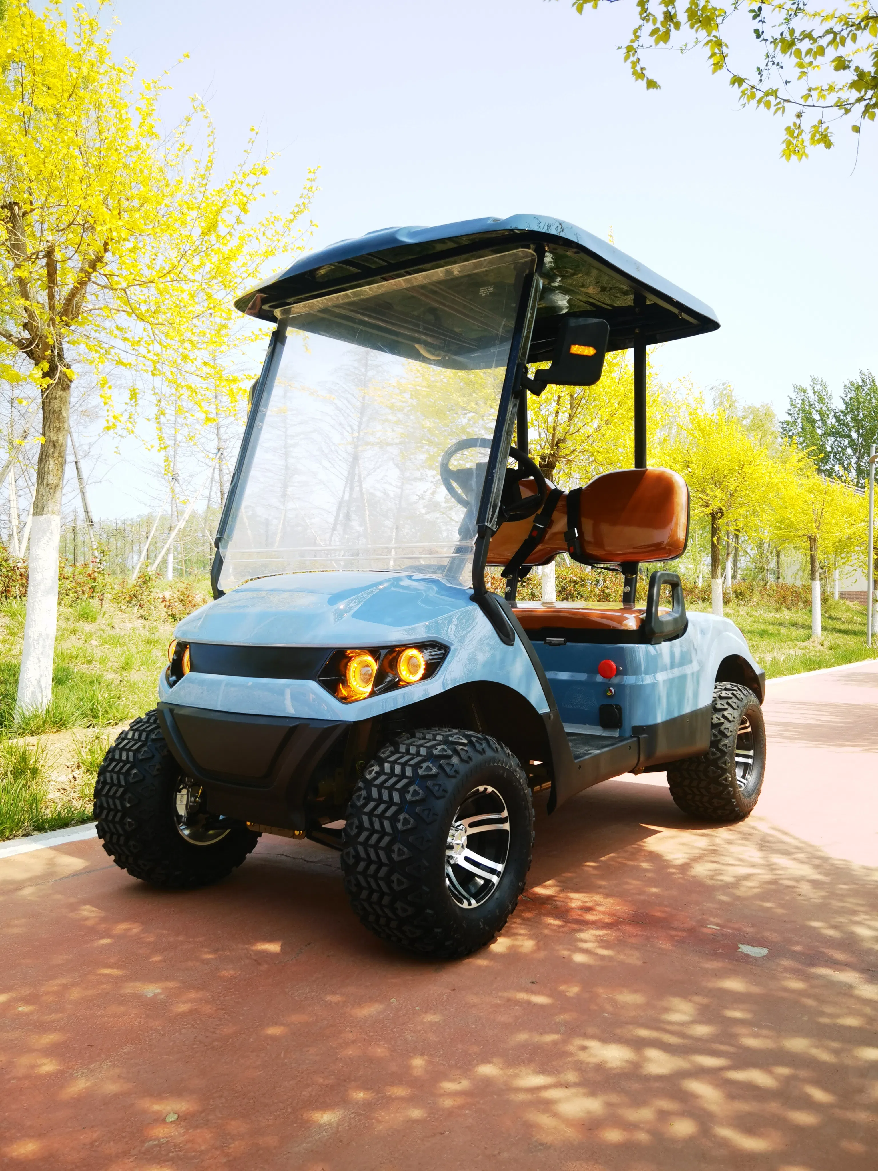Electric Golf Cart Side View