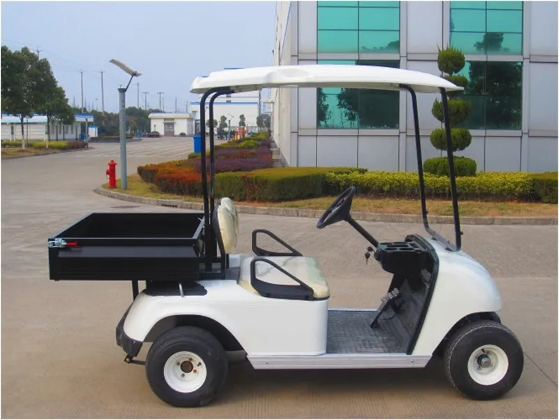 Electric Golf Cart View 1