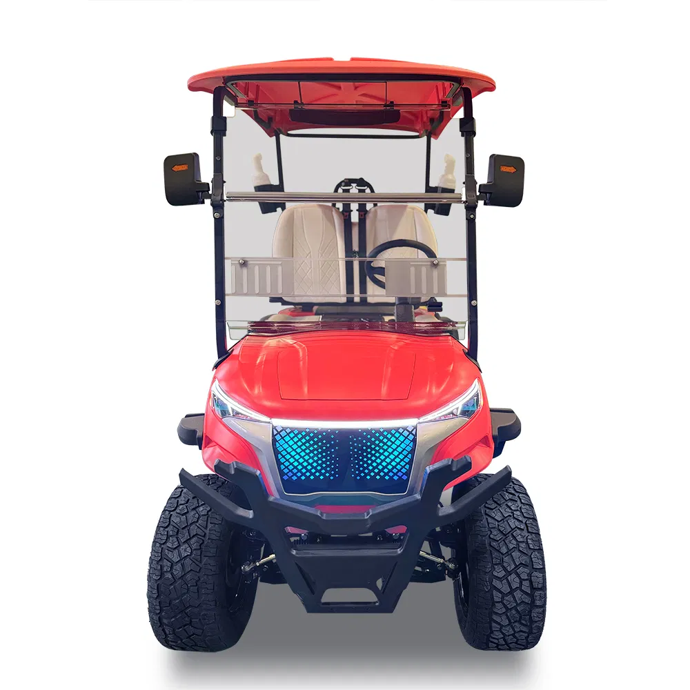 Electric Sightseeing Golf Wholesale 2 Seater Golf Cart with Folded Seat